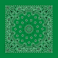 Standard Imported Kelly Green Paisley Bandanna